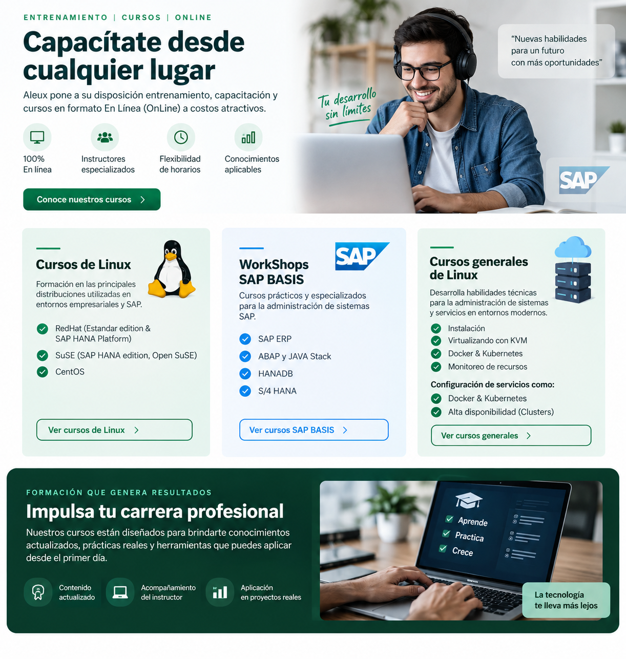 Cursos en línea de Linux y SAP BASIS de Aleux